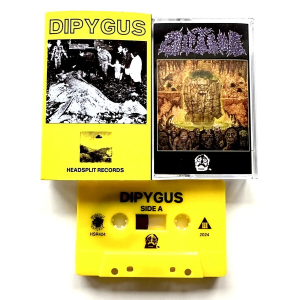 H*D様 Sunrize Record STILL SEALD HYPE STI Dipygus s/t · Headsplit Records · Online Store Powered by