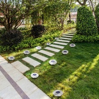 Garden Solar Powered LED Disk Light - Thumbnail 1