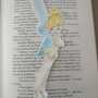 Bookmark-2