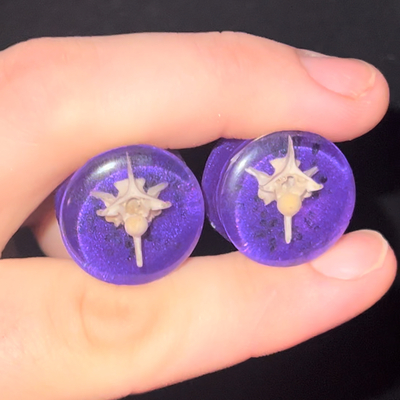 Purple passion snake vertabre gauges 20mm 13/16” 