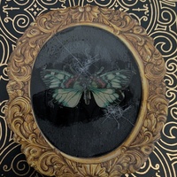 Broken glass butterfly specimen 3d art print  - Thumbnail 1