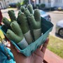 Felt Green Onion (Gronion) keychain-3