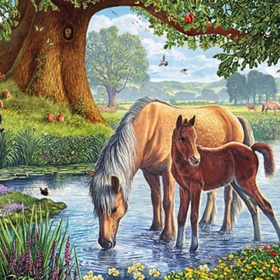 2 horses in stream cross stitching kit (30x40cm 14ct printed canvas)