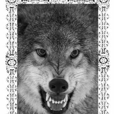 Sacred dominions "empire of heathen wolves" tape