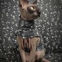 Seeing Stars - Sleepwear-1