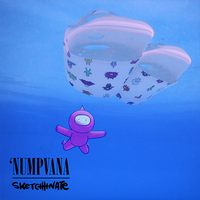 Nump slides - Thumbnail 5