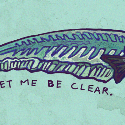Glass catfish stickers/magnets - Thumbnail 2