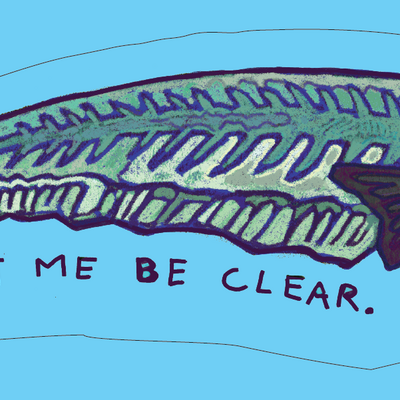 Glass catfish stickers/magnets