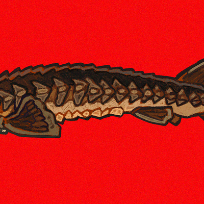 Sturgeon stickers/magnets - Thumbnail 1