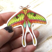 Lunar Moth sticker - Thumbnail 1