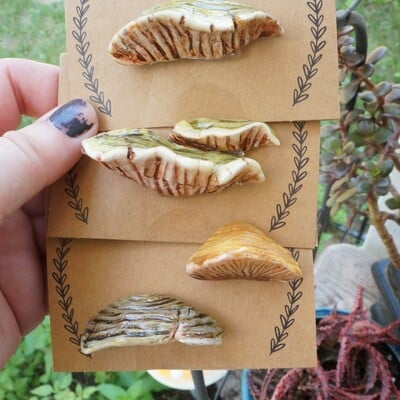 Shelf mushroom pin collection - Thumbnail 2