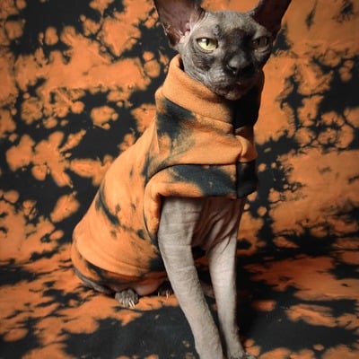 Pumpkin patch yeezus - Thumbnail 1