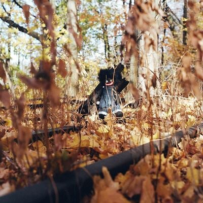 [08/29] billy woods - golliwog
