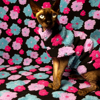 Sculpted Flowers Sherpa - Thumbnail 1