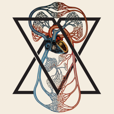 Circulatory tee