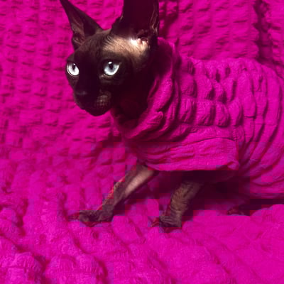 Loveless pink - catbumps - Thumbnail 1