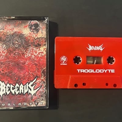 Becerus - troglodyte