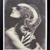 Shedding Bones I - small giclée print - 8" x 10" - Thumbnail 2