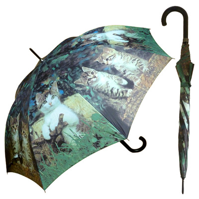 Cat umbrella