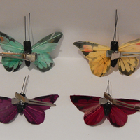 Mariposas - Thumbnail 1