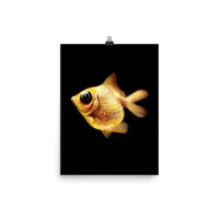Goldfish Poster - Thumbnail 3