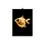 Goldfish Poster-3