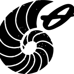 Shell(working)